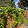 Freyr Trellis Extension By Seattle Urban Farm Company
